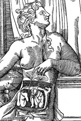 estienne